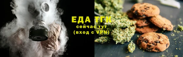 индика Балабаново