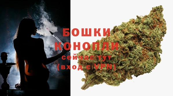 индика Балабаново