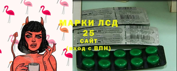индика Балабаново